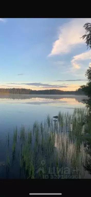 Коттедж в Ленинградская область, Приозерский район, Раздольевское ... - Фото 1