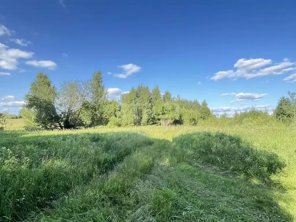 Участок в Ярославская область, Ярославский муниципальный округ, д. ... - Фото 2