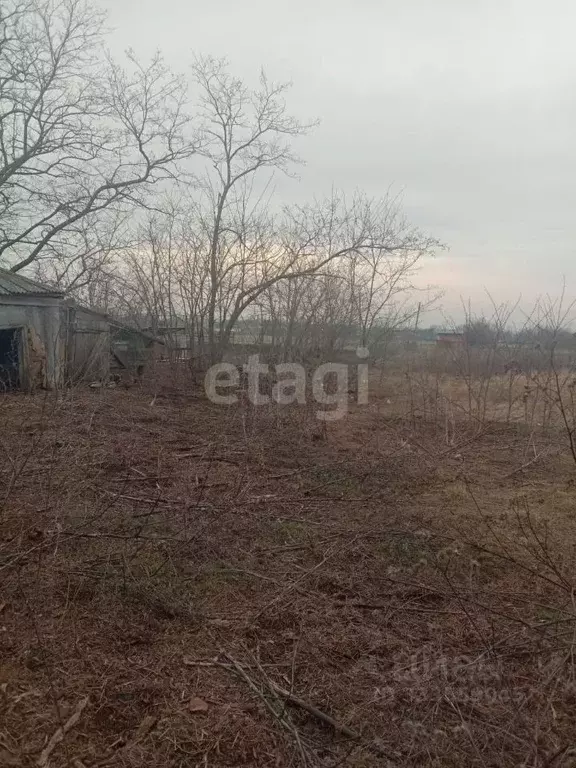 Участок в Краснодарский край, Щербиновский район, Екатериновское ... - Фото 2