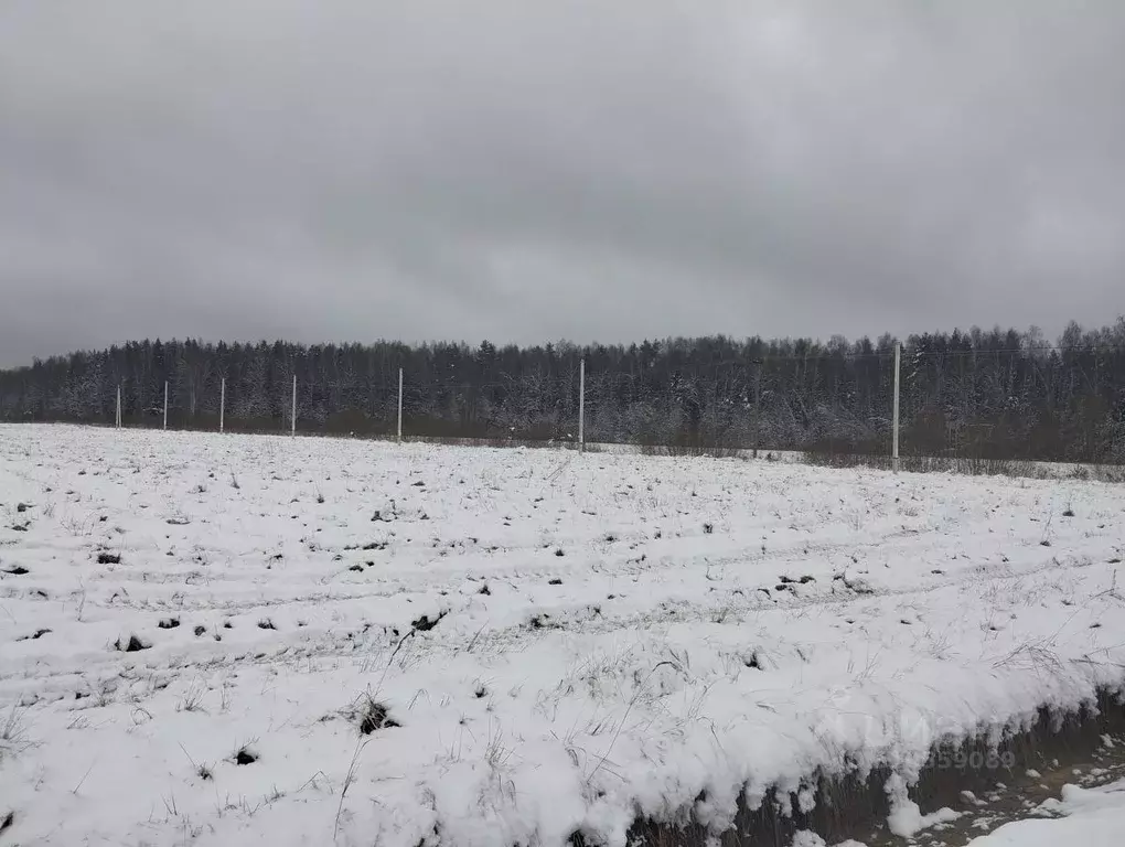 Участок в Московская область, Дмитровский городской округ, Раменье дп  ... - Фото 0