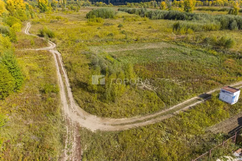 Участок в Новосибирская область, Новосибирский район, Кубовинский ... - Фото 0