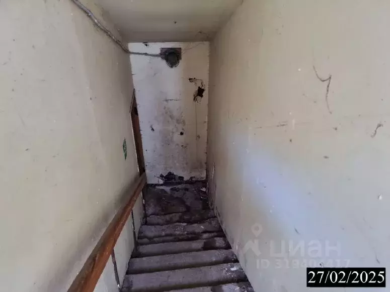 Помещение свободного назначения в Нижегородская область, Нижний ... - Фото 1