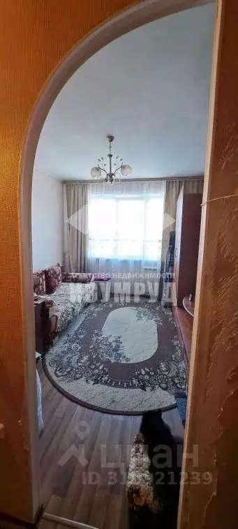 Студия Кемеровская область, Кемерово Октябрьский просп., 87 (22.0 м) - Фото 0