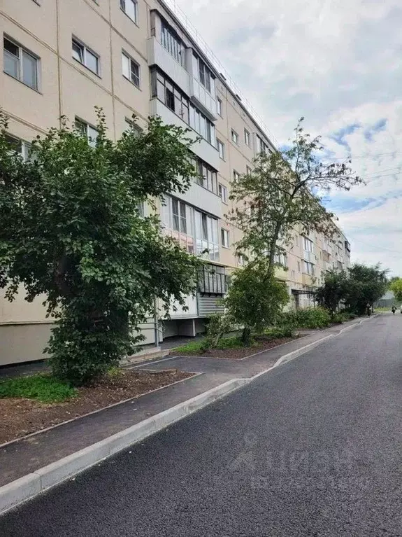 3-к кв. Курганская область, Курган Сибирская ул., 19 (59.2 м) - Фото 1