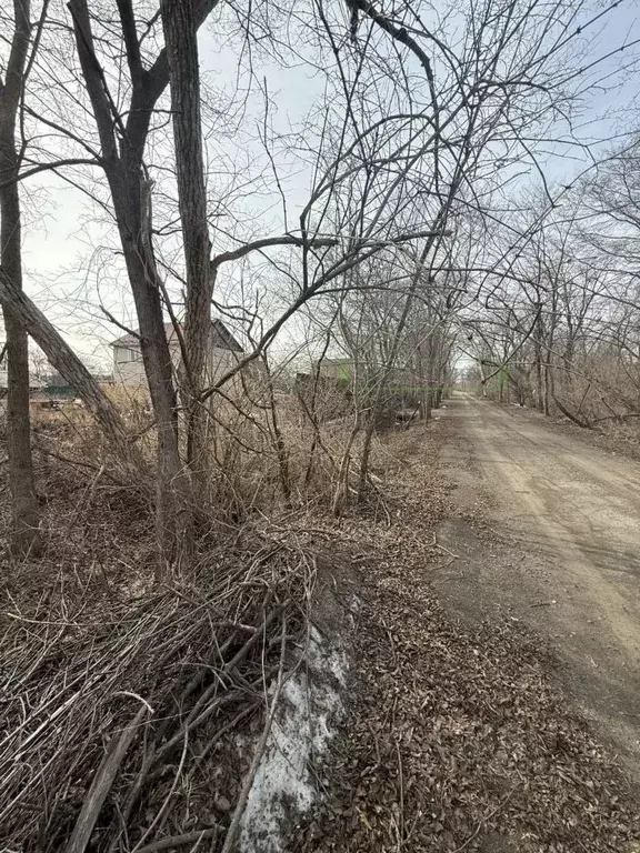 Участок в Приморский край, Артемовский городской округ, с. Кневичи ул. ... - Фото 1