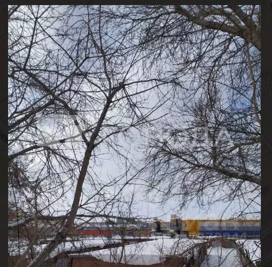 Гараж в Новосибирская область, Новосибирск 2-й Вертковский пер., 20к9 ... - Фото 2