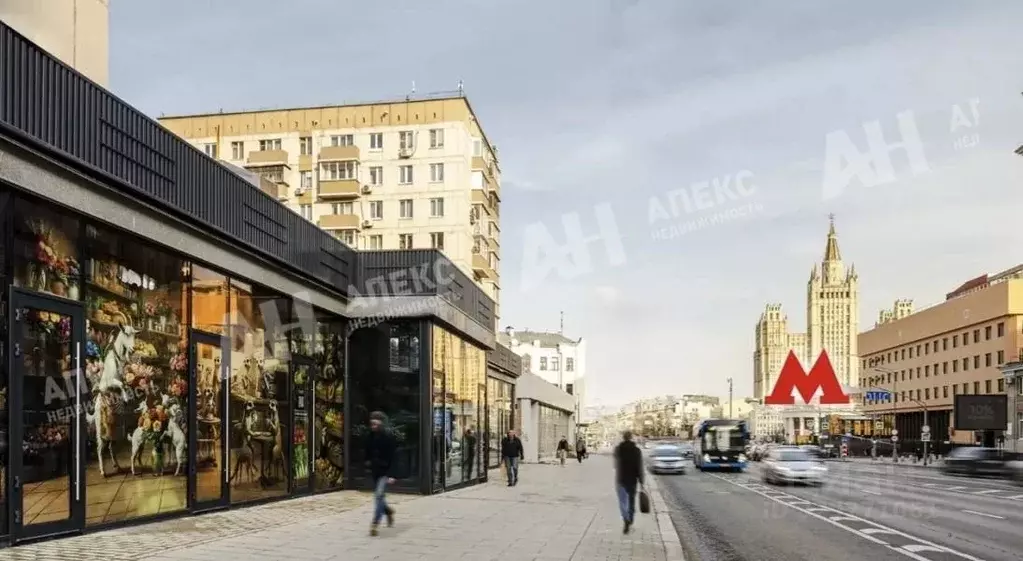 Помещение свободного назначения в Москва ул. Красная Пресня, 12 (30 м) - Фото 2