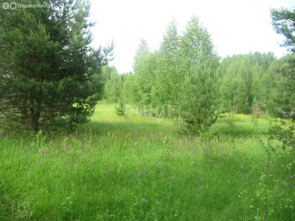 Участок в Нижегородская область, Тонкинский муниципальный округ, село ... - Фото 1