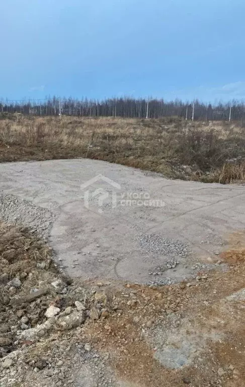 Участок в Ленинградская область, Ломоносовский район, Низинское с/пос, ... - Фото 1