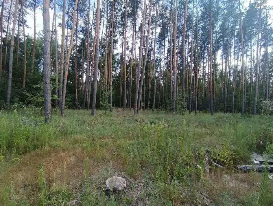 Участок в Воронежская область, с. Новая Усмань ул. Захлебная, 12 (15.0 ... - Фото 0