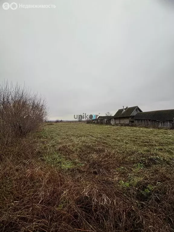 Участок в село Старый Каразерик, улица Ленина, 49 (4.4 м) - Фото 2