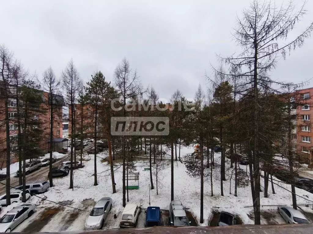 1-к кв. Ямало-Ненецкий АО, Ноябрьск Магистральная ул., 101 (33.5 м) - Фото 1