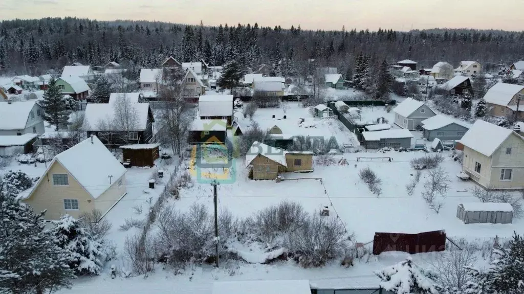 Участок в Ленинградская область, Выборгский район, Первомайское с/пос, ... - Фото 1