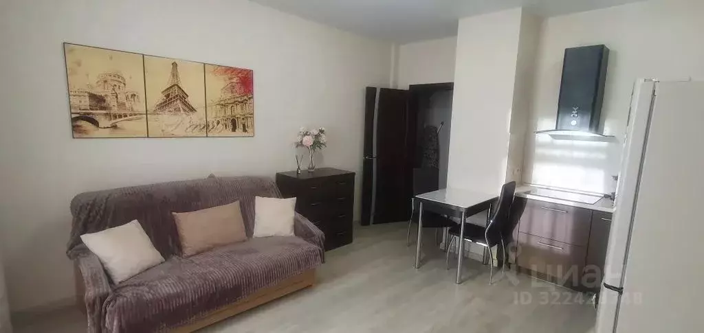 Студия Хабаровский край, Хабаровск Пионерская ул., 1 (25.0 м) - Фото 1