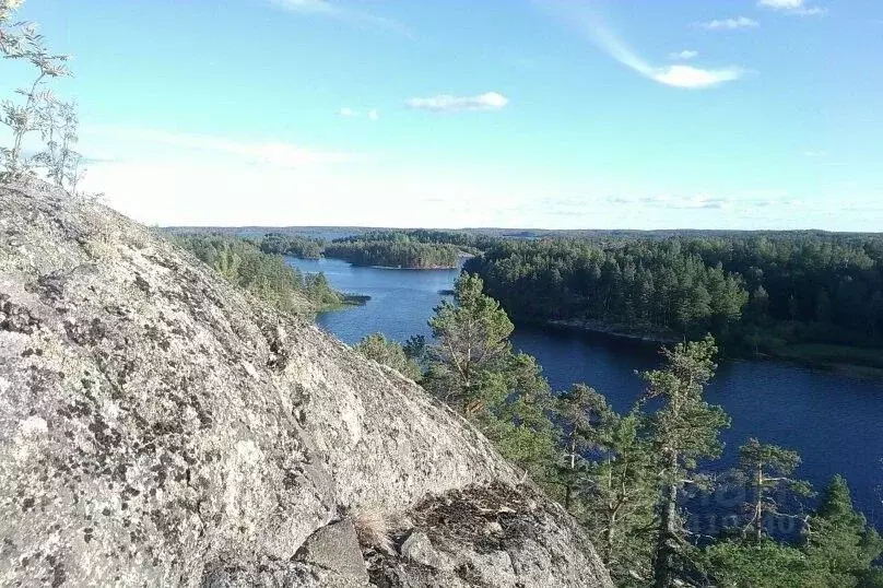 Дом в Рязанская область, Сараевский район, Напольновское с/пос, д. ... - Фото 2