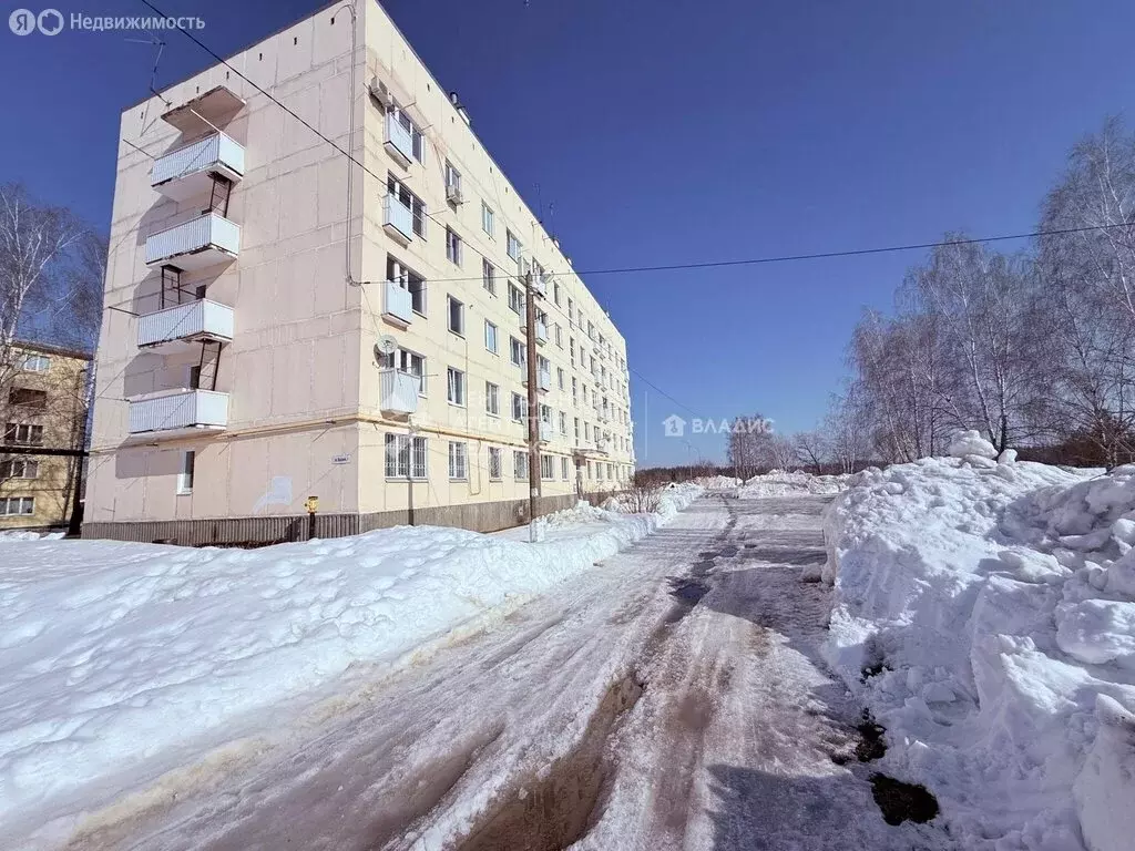 1-комнатная квартира: посёлок Мурмино, Лесная улица, 7 (30.6 м) - Фото 1