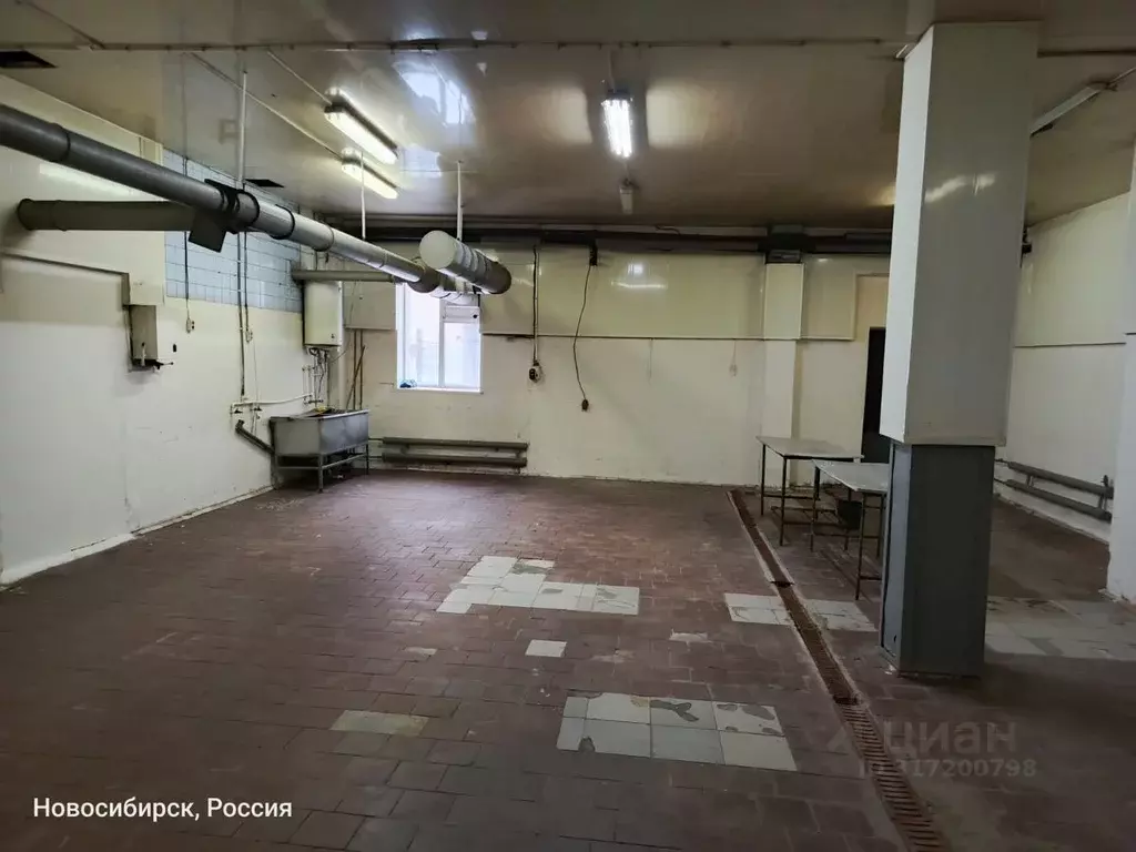 Производственное помещение в Новосибирская область, Новосибирск ул. ... - Фото 1