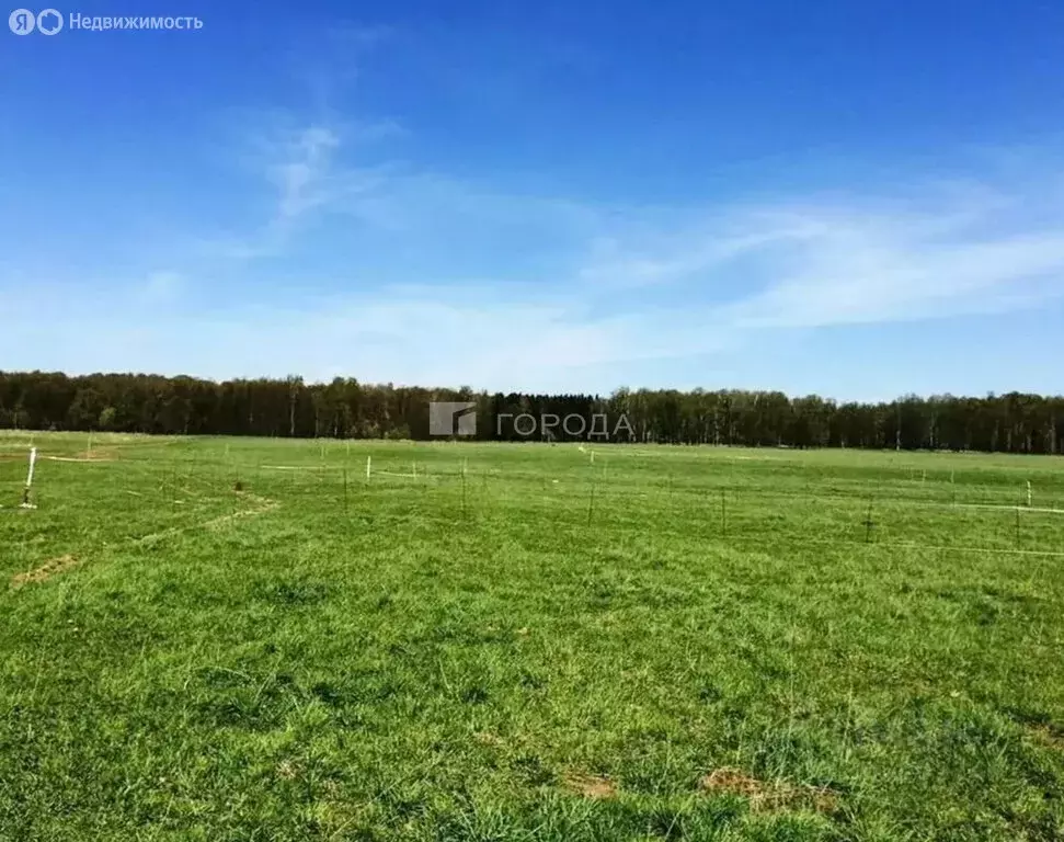 Участок в Первомайский район, посёлок Новый, улица Есенина, 83 (12 м) - Фото 1