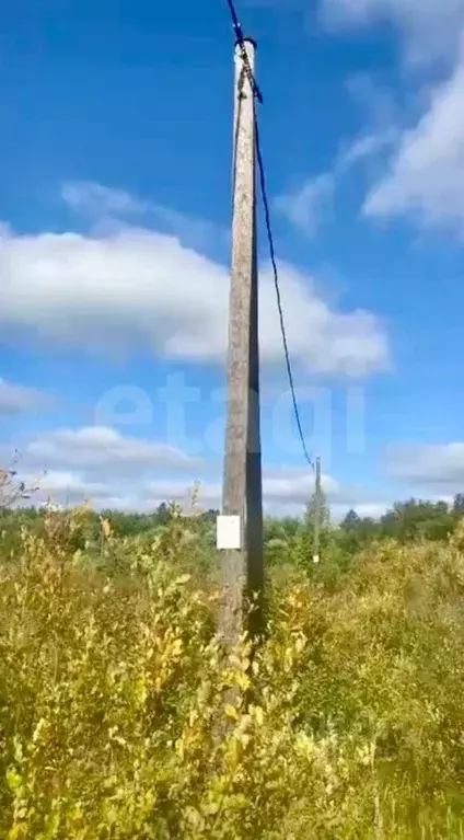 Участок в Вологодская область, с. Устье  (25.0 сот.) - Фото 2