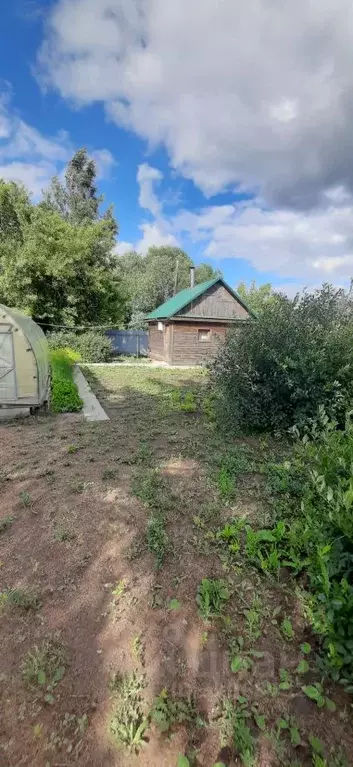 Участок в Омская область, Таврический район, с. Сосновское ул. ... - Фото 0