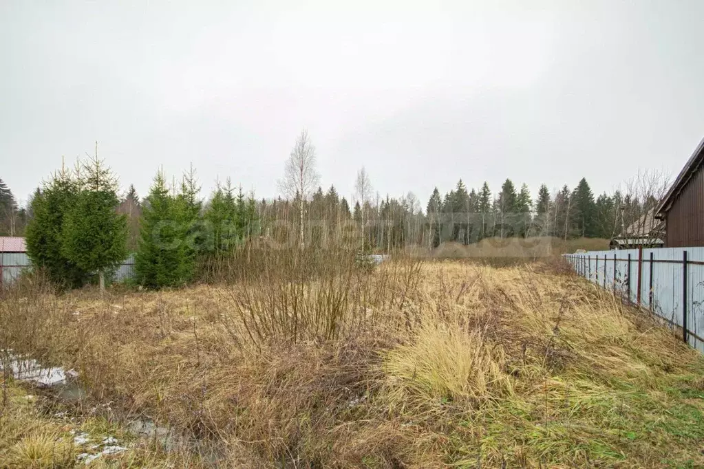 Участок в Московская область, Наро-Фоминский городской округ, д. ... - Фото 1