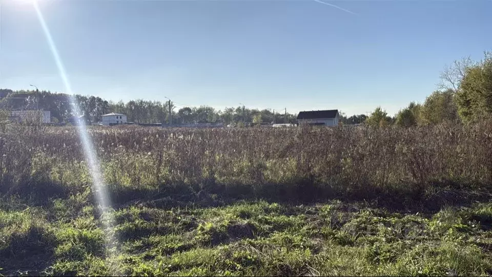 Участок в Московская область, Кашира городской округ, пос. Большое ... - Фото 1