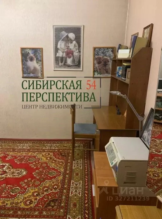 Комната Новосибирская область, Новосибирск ул. Фрунзе, 63 (12.0 м) - Фото 2