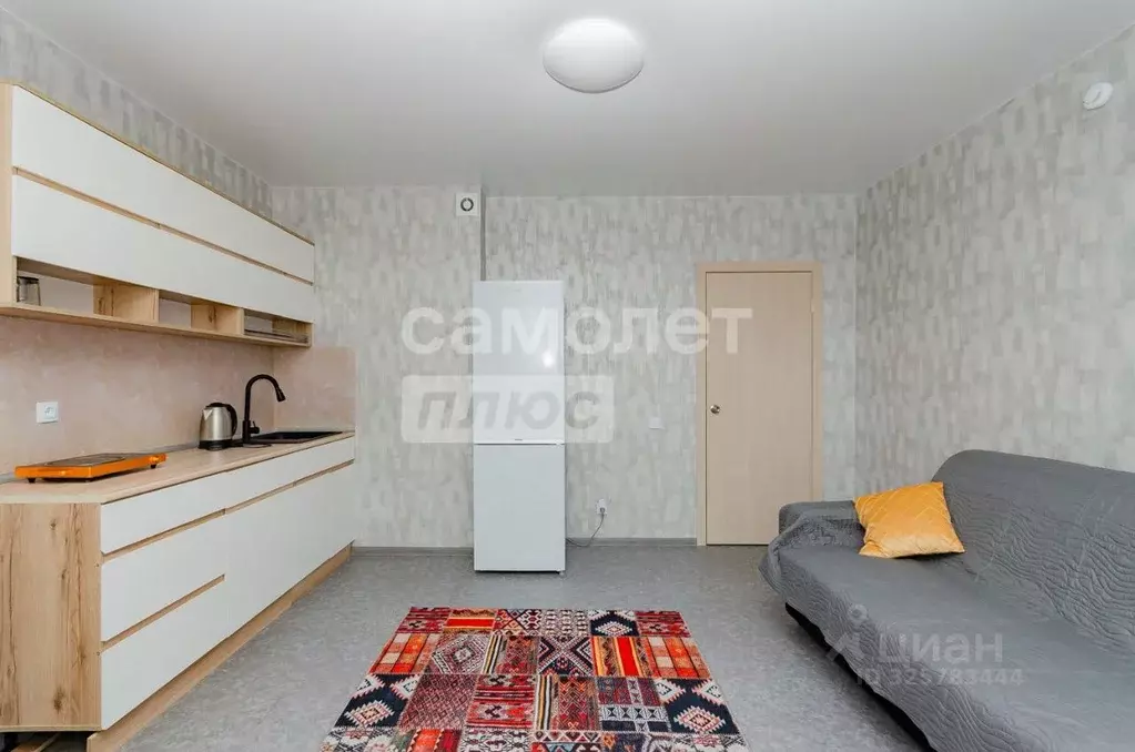 Студия Челябинская область, Челябинск Набережная ул., 7Б (23.6 м) - Фото 1