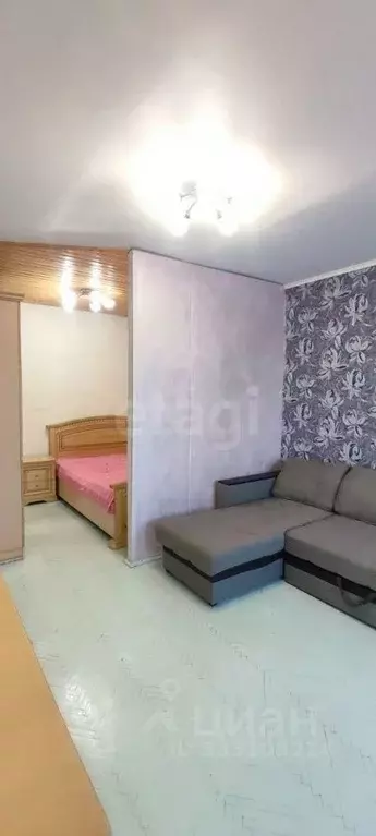 1-к кв. Санкт-Петербург пос. Шушары, Школьная ул., 6 (31.6 м) - Фото 1