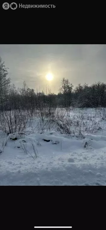 Участок в городской посёлок Красный Бор, Бадаевская улица (12 м) - Фото 1