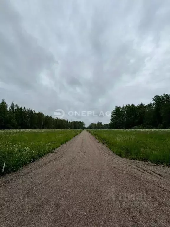 Участок в Ленинградская область, Приозерский район, Мельниковское ... - Фото 2