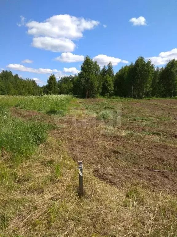 Участок в Вологодская область, Кирилловский муниципальный округ, д. ... - Фото 1