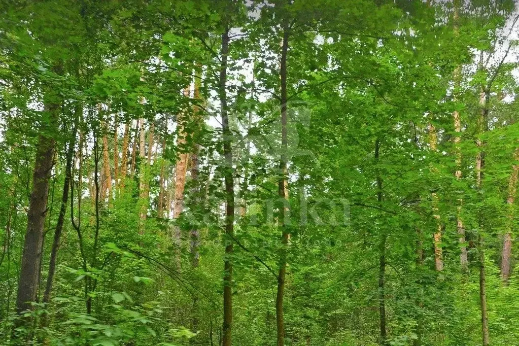 Участок в Московская область, Одинцовский городской округ, пос. Сосны  ... - Фото 1