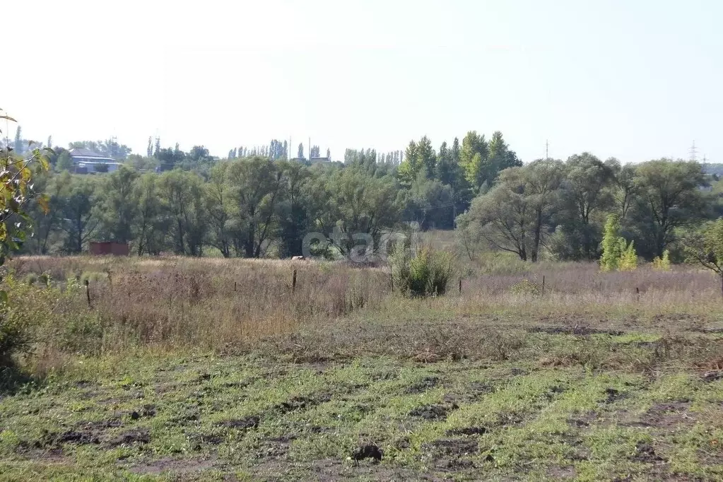 Купить Участок В Медовке Воронежской Области