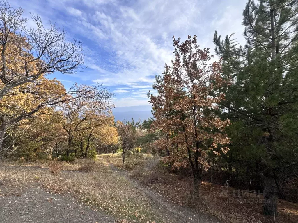 Участок в Крым, Алупка  (9.0 сот.) - Фото 1