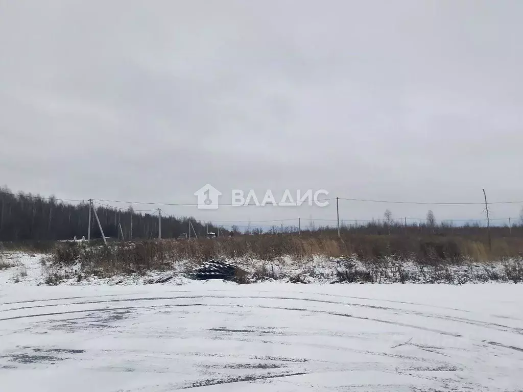 Участок в Нижегородская область, с. Безводное  (10.0 сот.) - Фото 2