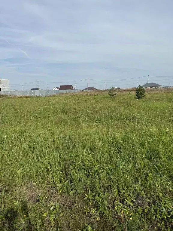 Участок в Свердловская область, Белоярский муниципальный округ, д. ... - Фото 2