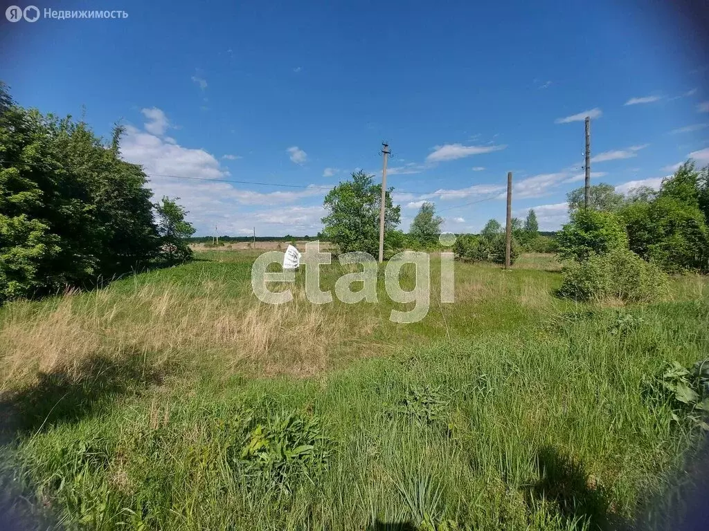 Участок в Владимирская область, Муром (25 м) - Фото 1