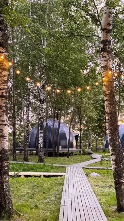 Комната Ярославская область, Брейтовский муниципальный округ, с. ... - Фото 1