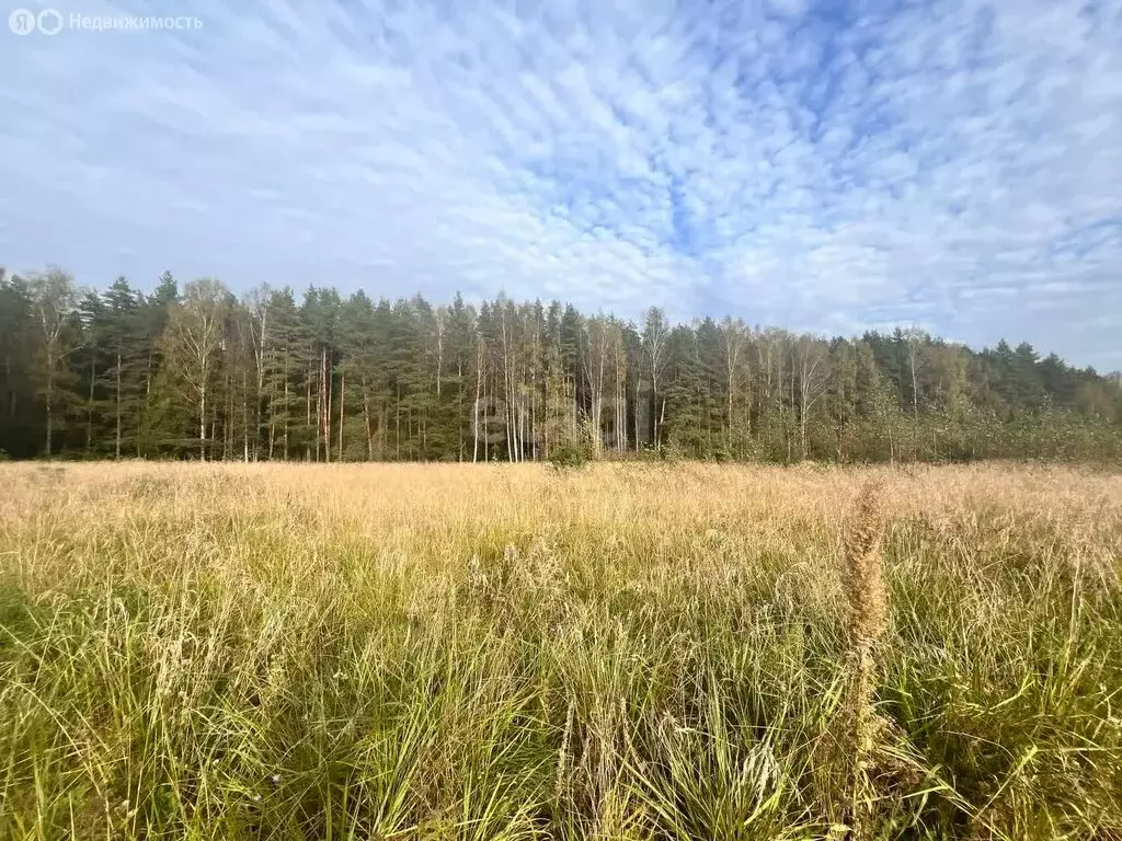 Участок в посёлок Красные Ткачи, жилой квартал Новые Ткачи (8.3 м) - Фото 0