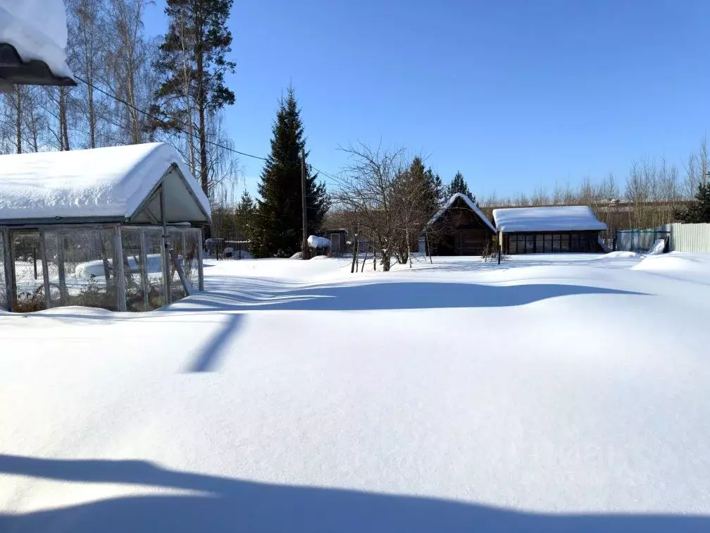 Участок в Свердловская область, Екатеринбург Березка СНТ, 180 (11.79 ... - Фото 1