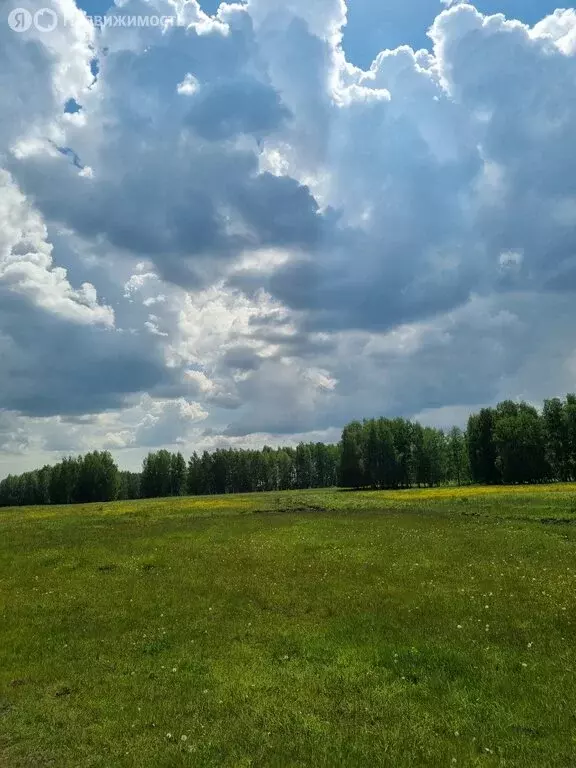 Участок в Челябинская область, Аргаяшский муниципальный округ, деревня ... - Фото 1