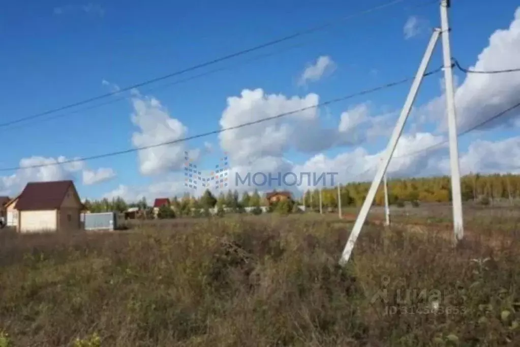 Участок в Нижегородская область, Богородский муниципальный округ, д. ... - Фото 1