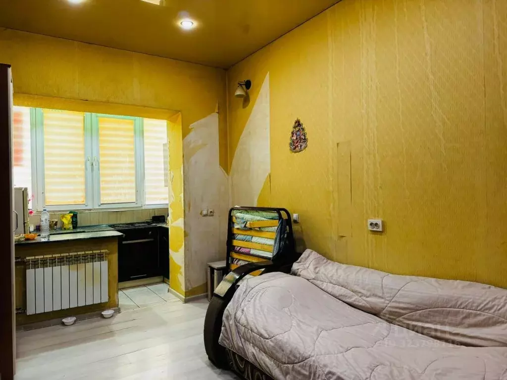 Студия Ростовская область, Ростов-на-Дону Кузнечная ул., 115 (19.5 м) - Фото 1