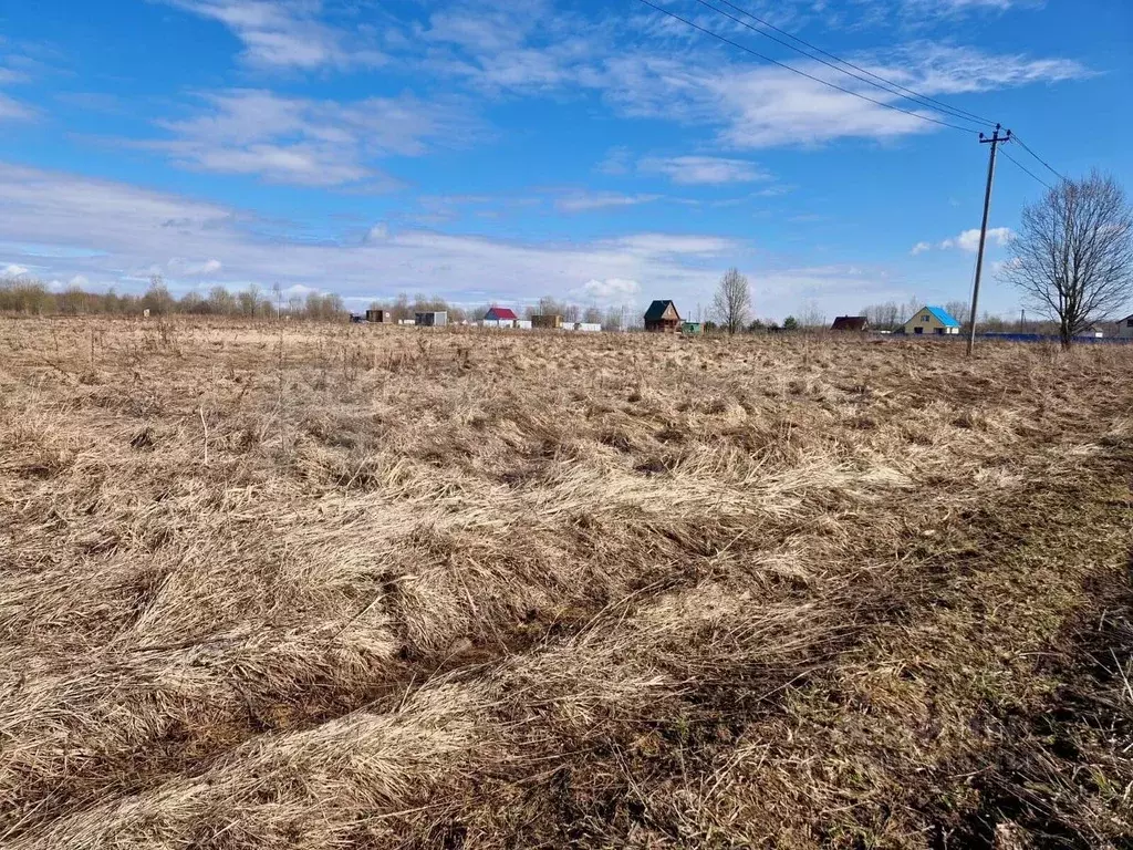 Участок в Новгородская область, Новгородский район, Трубичинское ... - Фото 0