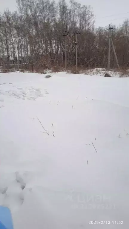 Участок в Омская область, Омск СОСН Сибирский садовод-1 тер., аллея ... - Фото 1