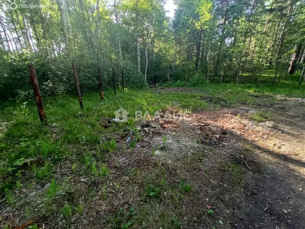 Участок в Ангарск, СНТ Берёзовая роща, квартал Поле 1 (15 м) - Фото 1