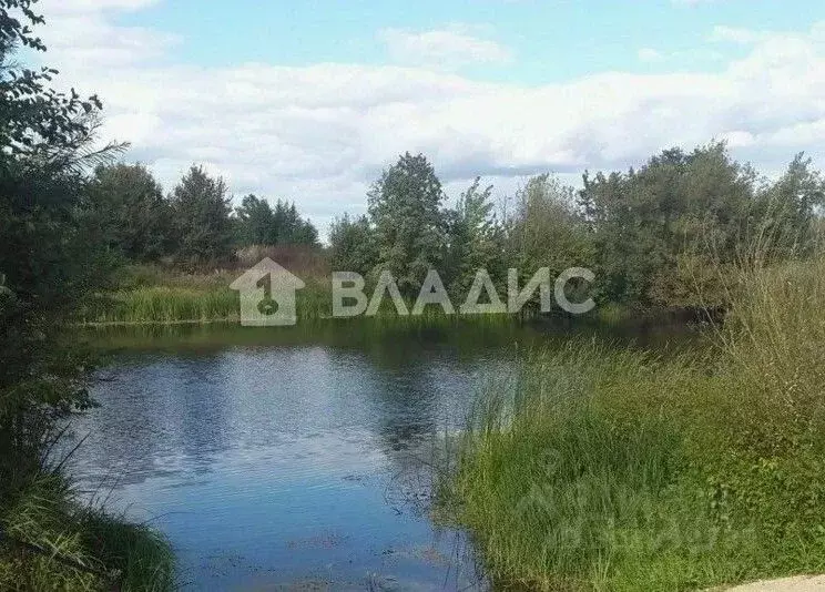 Участок в Воронежская область, Новоусманский район, Усманское 1-е ... - Фото 1