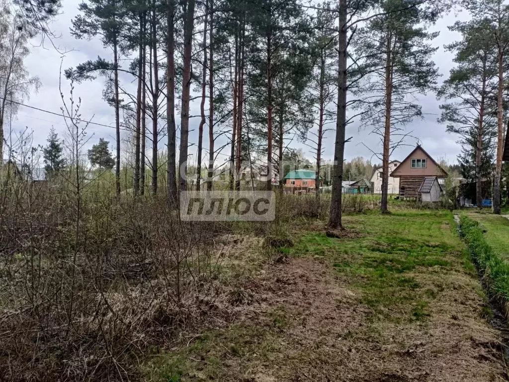Участок в Ленинградская область, Тосно г. Тосненский район, Тосненское ... - Фото 1