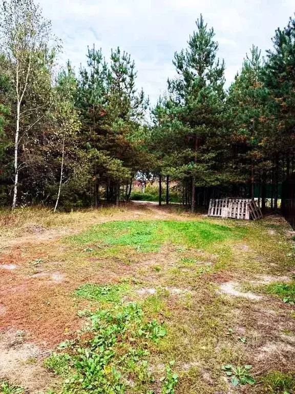 Участок в Московская область, Подольск городской округ, д. Бородино  ... - Фото 0